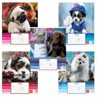 Тетрадь 24 л. BRAUBERG линия, обложка картон, &quot;ЗАБАВНЫЕ ЩЕНКИ&quot;, 403585