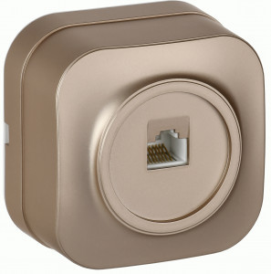 IEK GLORY роз. ОУ 1 мест. комп. RJ45 кат.5E РК10-ХШм шампань мат. EKH10-K37M