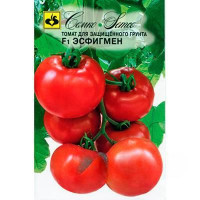 Семена Томат Эсфигмен Семко