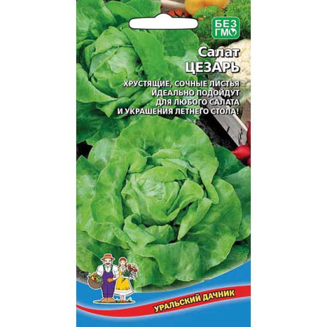 Салат Цезарь Марс Ц