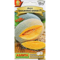 Дыня Оранжевый ананас Аэлита