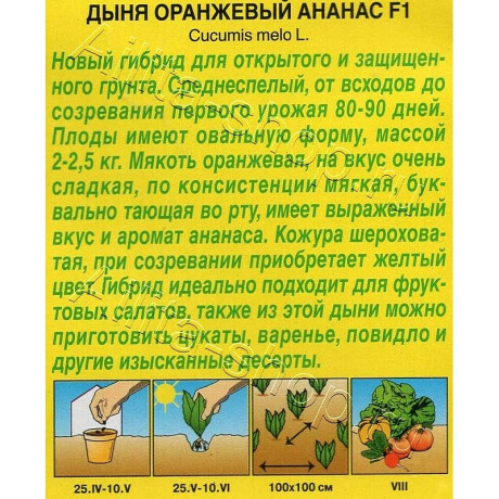 Дыня Оранжевый ананас Аэлита