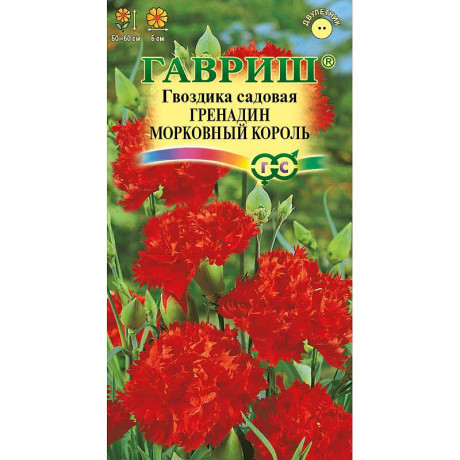 Гвоздика садовая гренадин Морковный король Гавриш Ц