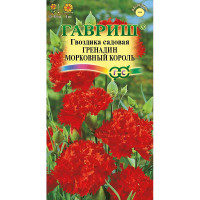 Гвоздика садовая гренадин Морковный король Гавриш Ц