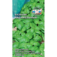 Базилик Карамельный Седек Ц
