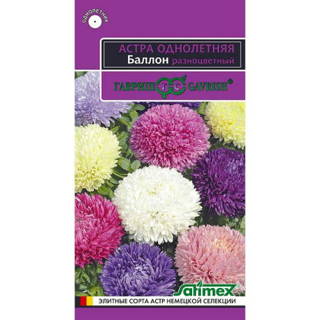 Астра Баллон разноцветный Эксклюзив Гавриш Ц