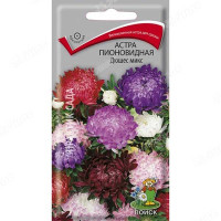 Астра Дюшес микс пионовидная Поиск Ц