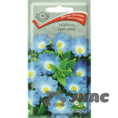 Нолана Синяя птица Поиск Цх10