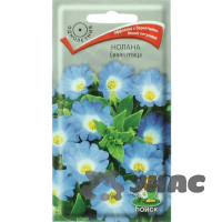 Нолана Синяя птица Поиск Цх10