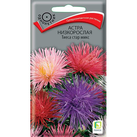 Астра Тиеса Стар низкорослая микс Поиск Ц