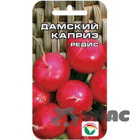 Редис Дамский Каприз СибСад Ц