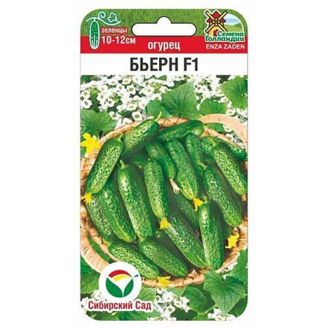 Огурец Бьерн СибСад Ц