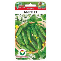 Огурец Бьерн СибСад Ц