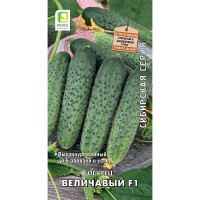 Огурец Величавый Сибирская серия Поиск Ц