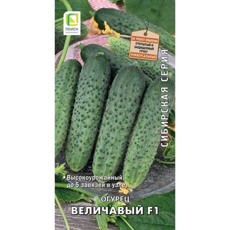 Огурец Величавый Сибирская серия Поиск Ц