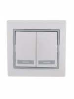 Lezard Мира выкл. СУ 2 кл. 10А бел. с серой вставкой (корпус PC) 701-0215-101