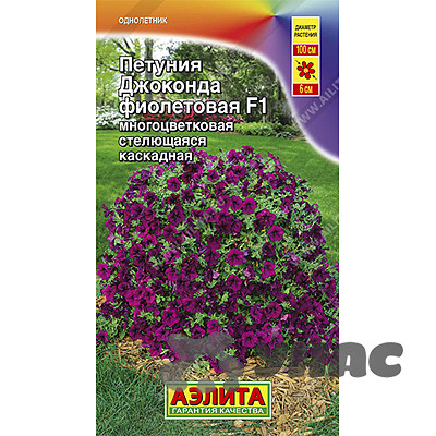 Петуния Джоконда фиолетовая Аэлита Ц