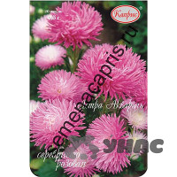 К Астра Акварель Серебристо-розовая Каприс