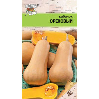 Кабачок Ореховый Урожай у дачи Ц