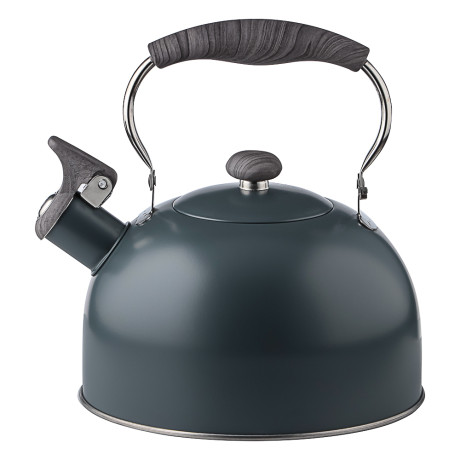 VETTA Чайник стальной 2,2л "Ливорно", индукция