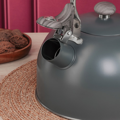 VETTA Чайник стальной 2,2л "Ливорно", индукция