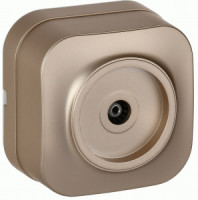 IEK GLORY роз. ОУ 1 мест. TV РТВ20-ХШм шампань мат. EAH10-K37M