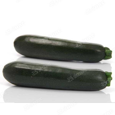 Кабачок Комо (Нидерланды)Каприс