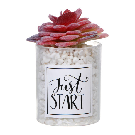 LADECOR Суккулент искусственный, 5х9-11 см, пластик, 3 дизайна