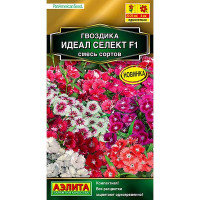 Гвоздика Идеал селект Аэлита Ц
