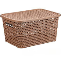 Ящик РОТАНГ 450х300х265 с крыш. беж М2371 (4)