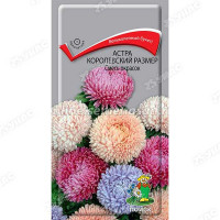 Астра Королевский размер смесь Поиск Ц