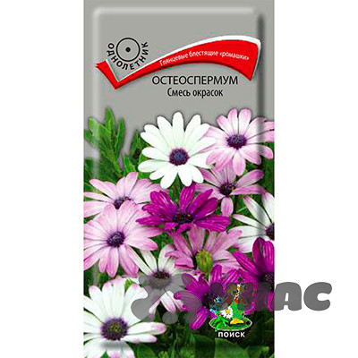 Остеоспермум смесь Поиск Ц
