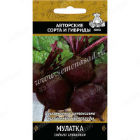 Свекла Мулатка Поиск Ц