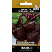 Свекла Мулатка Поиск Ц