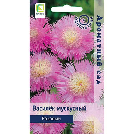 Василек Розовый мускусный Поиск Ц