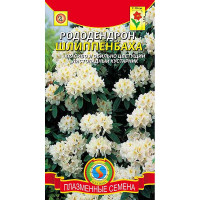 Рододендрон Шлиппенбаха Плазма Ц