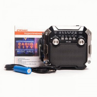 Радиоприемник &quot;Сигнал РП-228&quot;, FM - 64-108 Мгц, 2xR20, 220V, USB, SD 198х74х106мм, черный