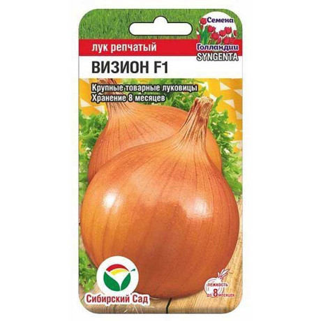 Лук Визион СибСад Ц