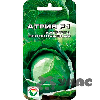 Капуста Атрия СибСад