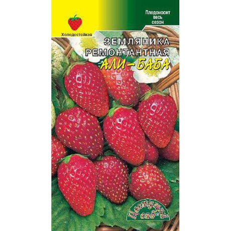 Земляника Али-Баба Цветочный Сад Ц