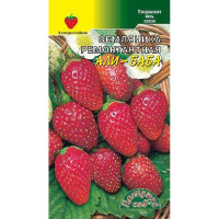 Земляника Али-Баба Цветочный Сад Ц