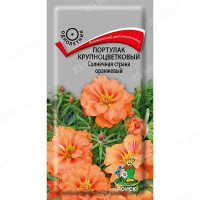 Портулак Солнечная страна оранжевый Поиск Ц