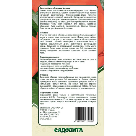 Роза чайно-гибридная Моника Садовита