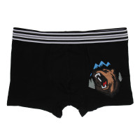 GALANTE Трусы-боксеры мужские с принтом р.54, 95%хлопок, 5%спандекс, разноцветные, НБ25-6