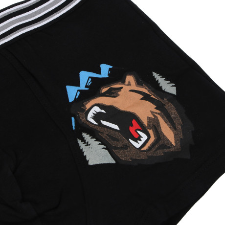 GALANTE Трусы-боксеры мужские с принтом р.54, 95%хлопок, 5%спандекс, разноцветные, НБ25-6