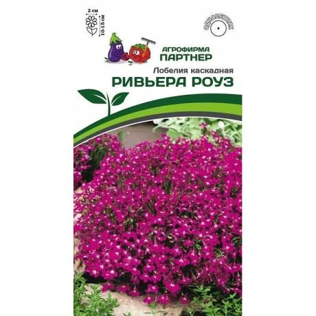 Лобелия Ривьера Роуз каскадная Партнер Ц