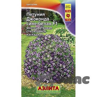 Петуния Джоконда сине-белая Аэлита Ц