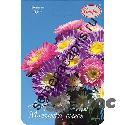 К Астра Малышка смесь Каприс