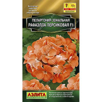 Пеларгония Рафаэлла персиковая Аэлита Ц