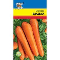 Морковь Владыка Урожай у дачи Ц